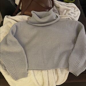 Aritzia Sweater